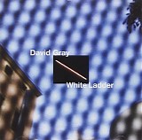 David Gray - White Ladder