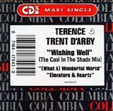 Terence Trent D'Arby - Wishing Well