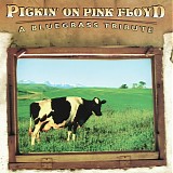 Pickin' on Pink Floyd: Bluegrass Tribute - Pickin' on Pink Floyd: Bluegrass Tribute