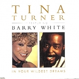 Tina Turner & Barry White - In Your Wildest Dreams  (CD Maxi-Single)