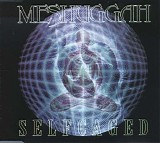 Meshuggah - Selfcaged