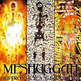 Meshuggah - Destroy Erase Improve