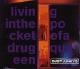 Dust Junkys - Living In The Pocket Of A Drug Queen