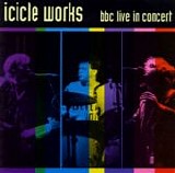 Icicle Works, The - BBC In Concert