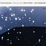 Tord GUSTAVSEN - 2016: What Was Said