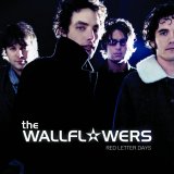 The Wallflowers - Red Letter Days