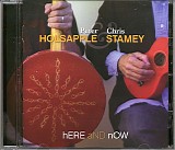 Peter Holsapple & Chris Stamey - Here And Now