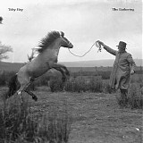 Toby Hay - The Gathering