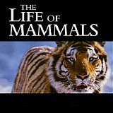 Ben Salisbury &  Dan Jones - The Life of Mammals