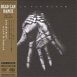 Dead Can Dance - Into The Labyrinth