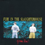 Fury in the slaughterhouse - Pure live!