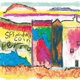 Spinning Coin - Permo