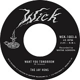 The Jay Vons - Want You Tomorrow