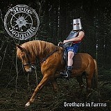 Steve'n'Seagulls - Brothers in farms