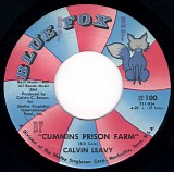 Calvin Leavy - Cummins Prison Farm / Brought You To The City