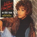 Whitney Houston  & Stevie Wonder - We Didn't Know