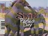 Skin - Perfect Day (CD1)