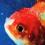 Various artists - Big Fish Theory