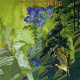 Yes - Fly from Here