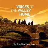 Various artists - Voices of the Valley: Home