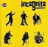 Incognito - Positivity