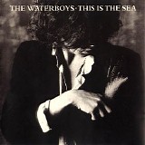 Waterboys - This Is the Sea