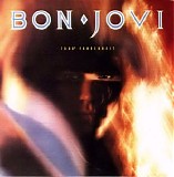 Bon Jovi - 7,800 Farenheit