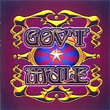 Gov't Mule - Live ... With A Little Help From Our Friends