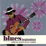 Various artists - Blues Beginnings - Early Raw Electric Blues Masters