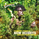 Various artists - Supersonic Conscious Reggae Vol.30 New Heights