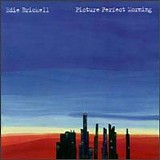 Edie Brickell - Picture Perfect Morning