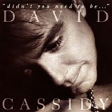 David Cassidy - Didn't You Used To Be...