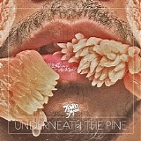 Toro Y Moi - Underneath The Pine