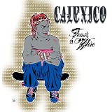 Calexico - Feast of Wire