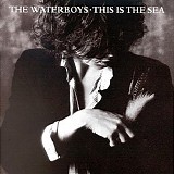 Waterboys - This is the sea
