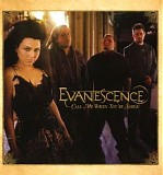 Evanescence - The Open Door