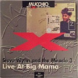 Steve Wynn & The Miracle 3 - Live At Big Mama