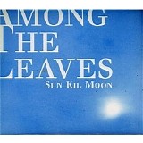 Sun Kil Moon - Among The Leaves