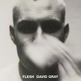 David Gray - Flesh