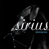 Lemongrass - Sirius