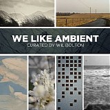 Various artists - We Like Ambient / Curated By Wil Bolton