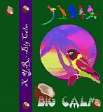 X.Y.R. - Big Calm