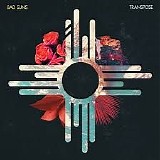 Bad Suns - Salt [Single]