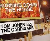 Tom Jones & Cardigans - Burning Down The House single