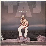 Mahal, Taj (Taj Mahal) - Evolution (The Most Recent)