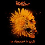 Barns Courtney - The Attractions Of Youth