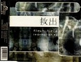 Flesh Field - Redemption