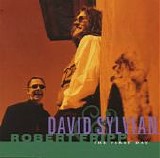 David Sylvian & Robert Fripp - The First Day