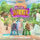 Shaun Chasin - Way of The Turtle