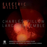 CHARLES LARGE ENSEMBLE PILLOW - Electric Miles